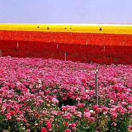 《禁闭求生》Steam版进行多人游戏不再需要微软账户